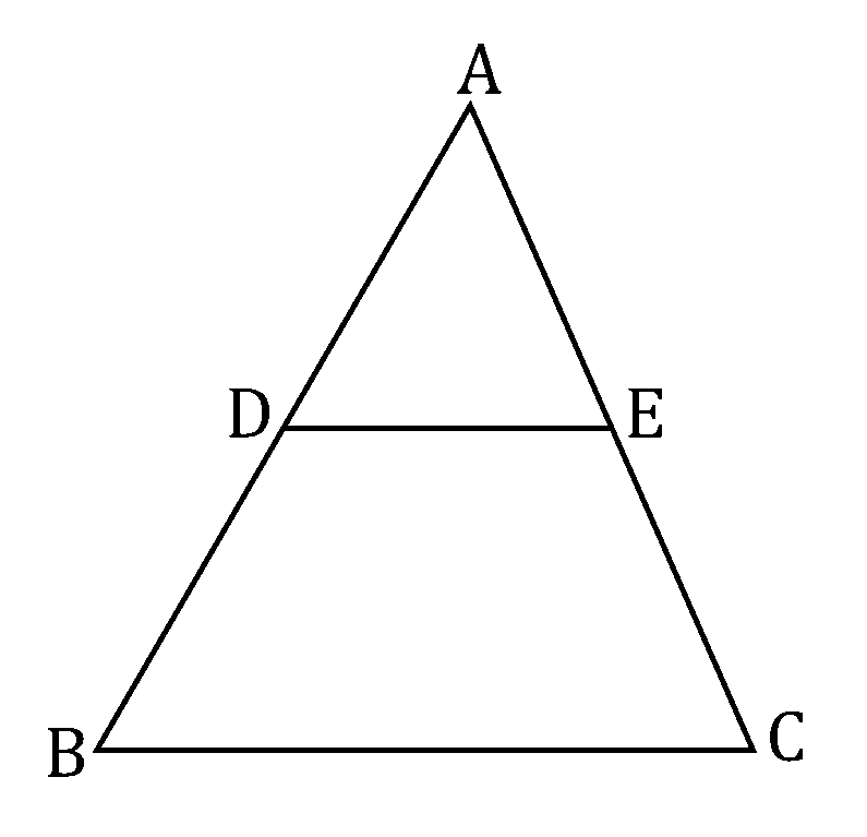 TG POLYCET 2024 Maths 14